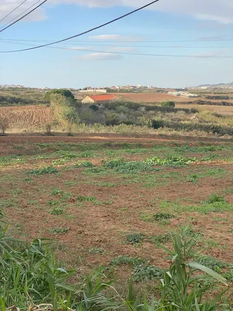 Terreno Rústico para Venda com 4.600m² na Atalaia – Lourinhã - Image 5