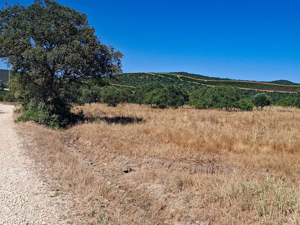 Terreno Rústico com Grande Potencial Agrícola – 7.800 m² em Paderne, Albufeira - Image 1