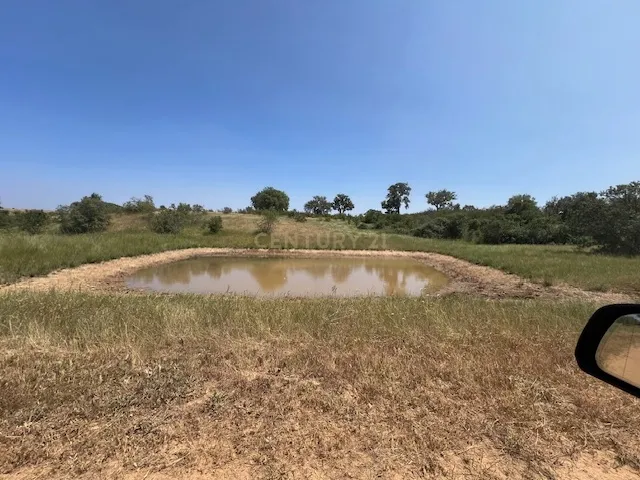 Herdade com 59,225 ha , 687m2 urbano, nascente de água, em Colos, Odemira - Image 39