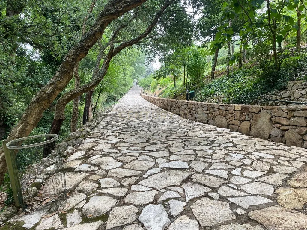Quinta de Charme - Refúgio de Sonho no Coração do Bombarral - Image 39