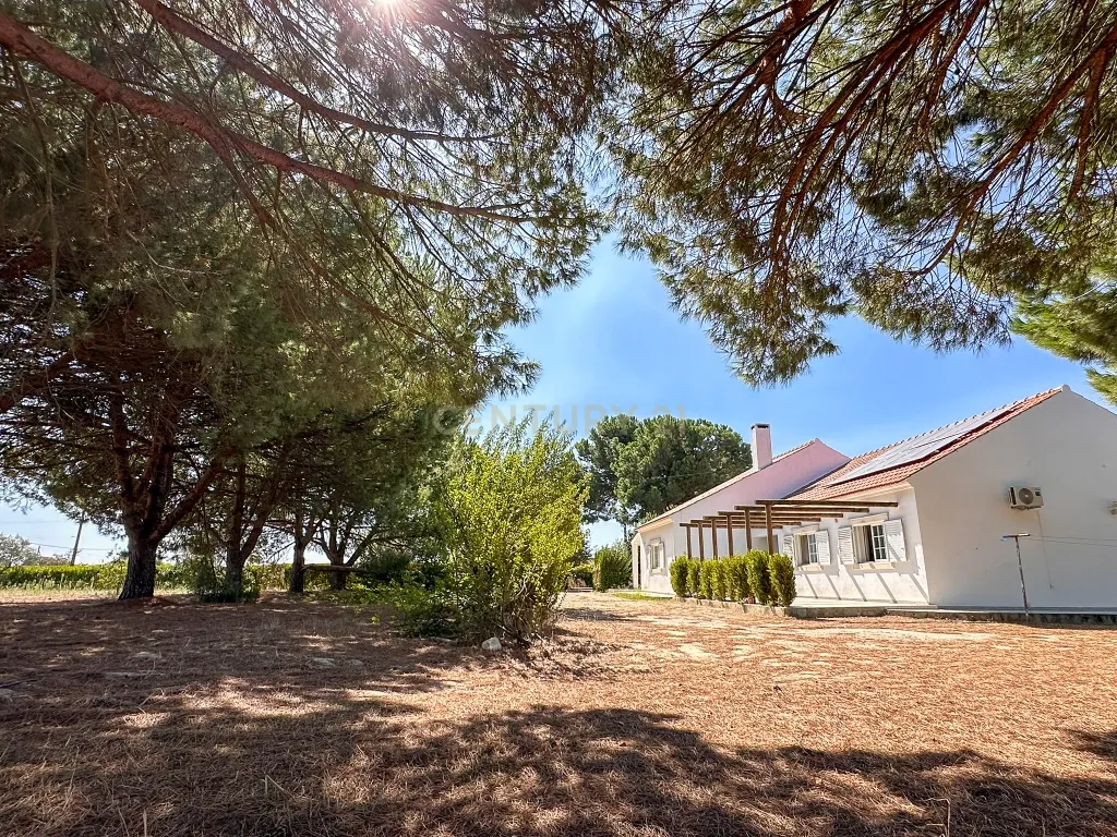 Quinta com 13.000 m² - Alojamento Local e espaço industrial licenciado – Poceirão, Palmela - Image 12