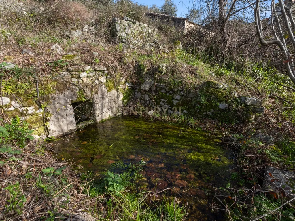 Moradia com Terreno em Portalegre - Image 24