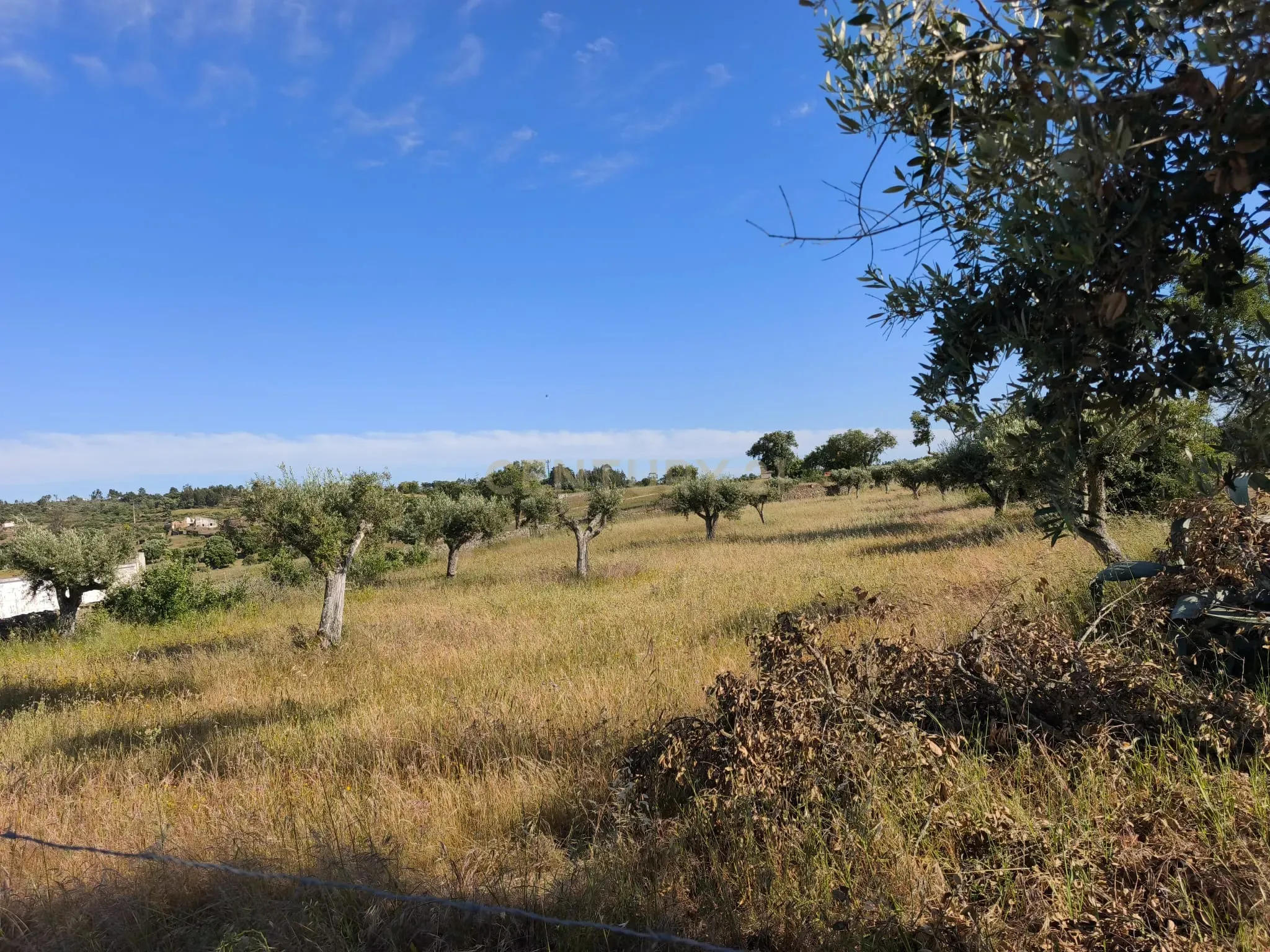 Moradia T4 à venda em Arez e Amieira do Tejo, Nisa — foto 34