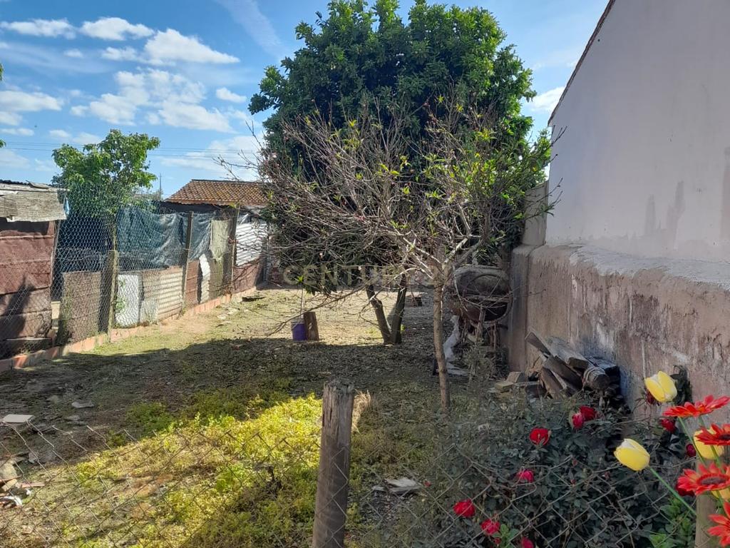 Moradia Ferreira do Alentejo  - Image 4