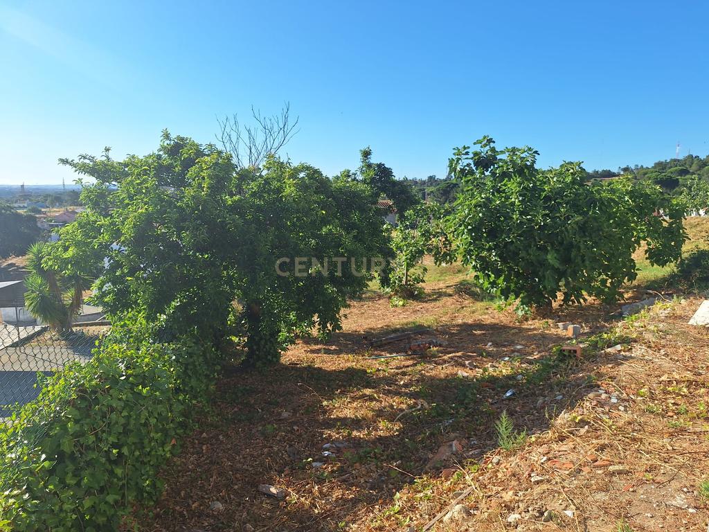 Moradia T3 com 99 m² e terreno de 4.179 m² em Covas de Coina - Image 22