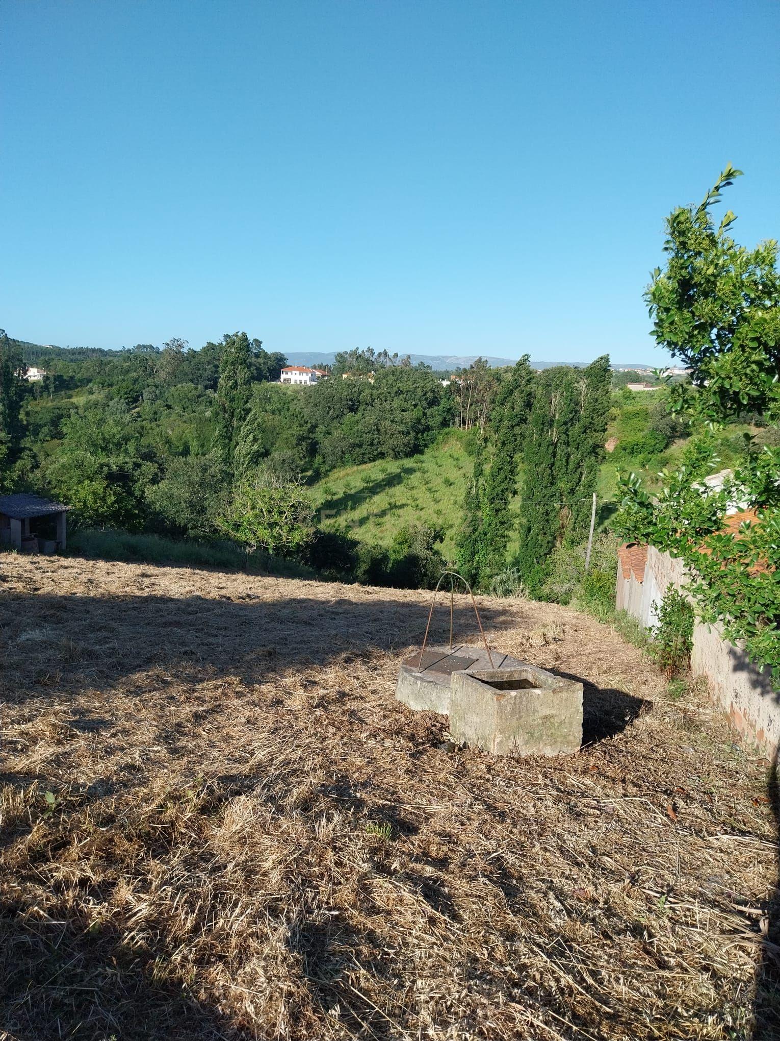 Fotografia 5 de Terreno com Viabilidade de Construção nas Fragosas