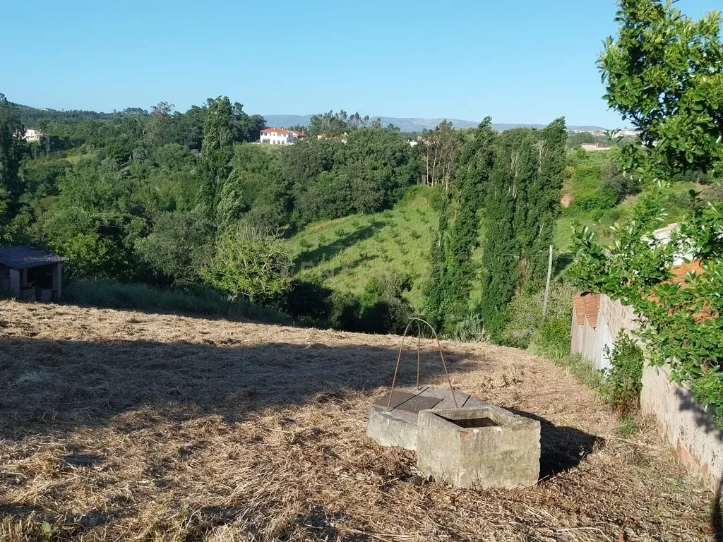 Terreno com Viabilidade de Construção nas Fragosas - Image 5