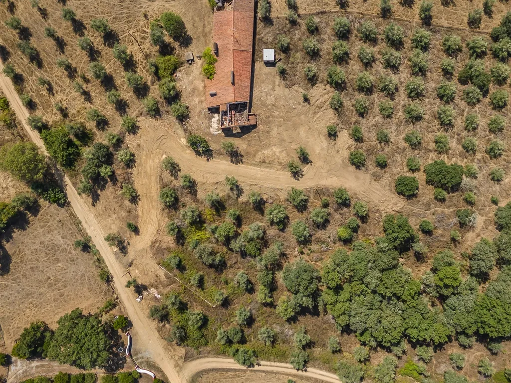 HERDADE COM 5,9 HECTARES, MORADIA E CAVALARIÇA | SANTIAGO DO ESCOURAL - Image 3
