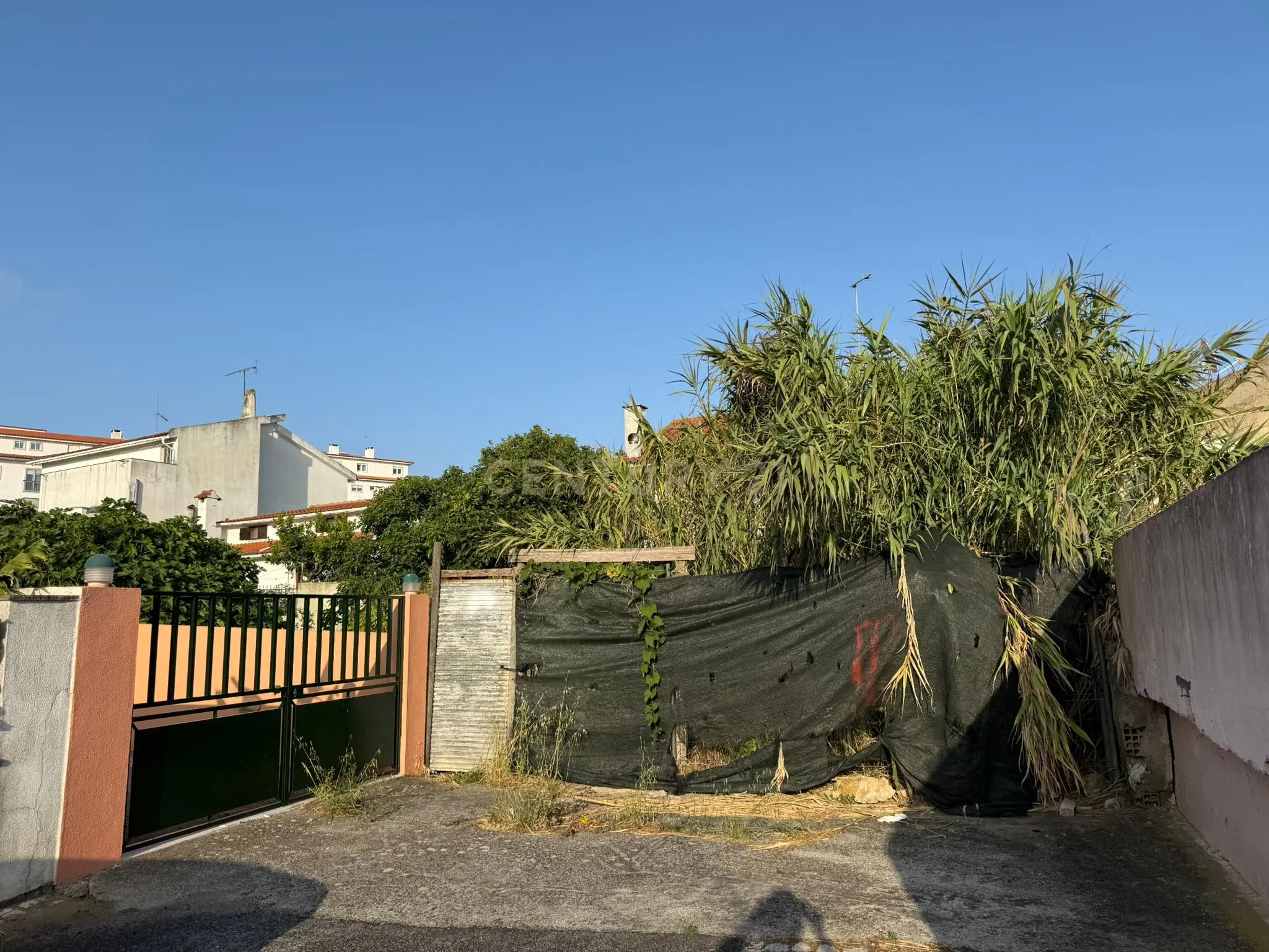 Terreno com Projeto para duas moradias - Cascais - Image 7