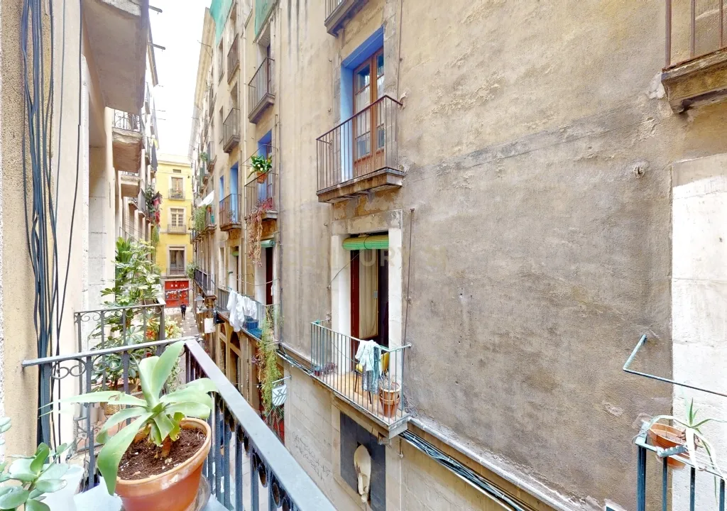 - Image 10