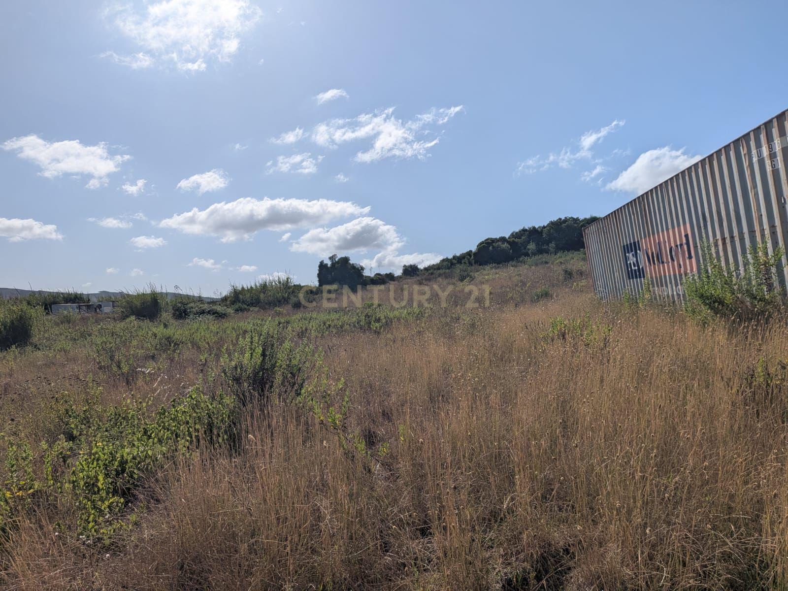 Fotografia 12 de Terreno com Cerca de 4.000 m² em Cercal – Lamas, Cadaval