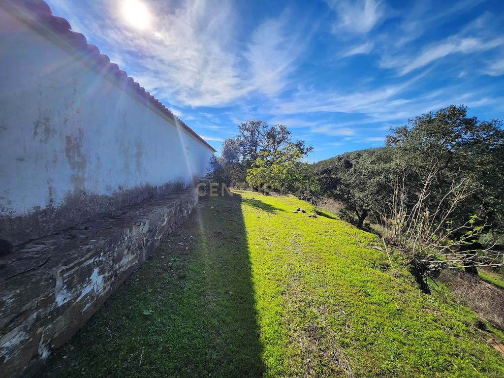 Monte Alentejano, 9 Hectares, e 400 m2 de contrução - Image 4