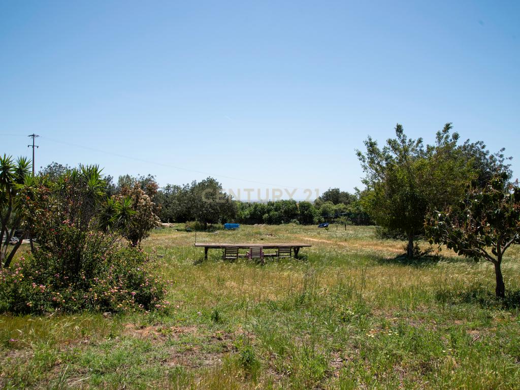 Terreno com Potencial de Construção em Falfosa – Santa Bárbara de Nexe, Faro - Image 10