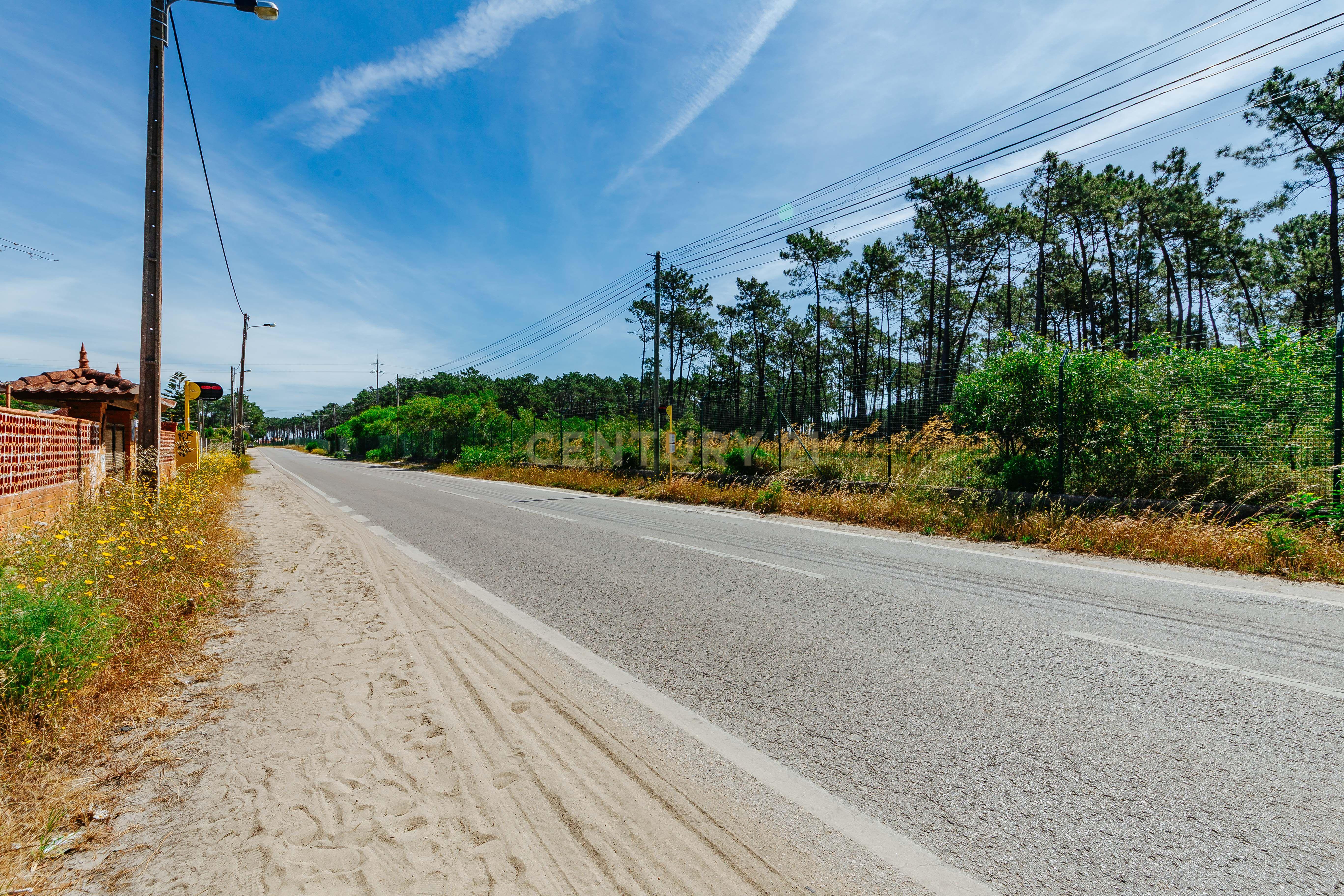 Fotografia 10 de Terreno Urbano na Charneca de Caparica | Pinhal da Aroeira