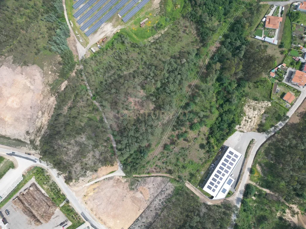 Terreno para construção de empresa/pavilhão afeto a Atividades Económicas/Industriais, Oliveira de Azeméis - 3870m² - Image 15