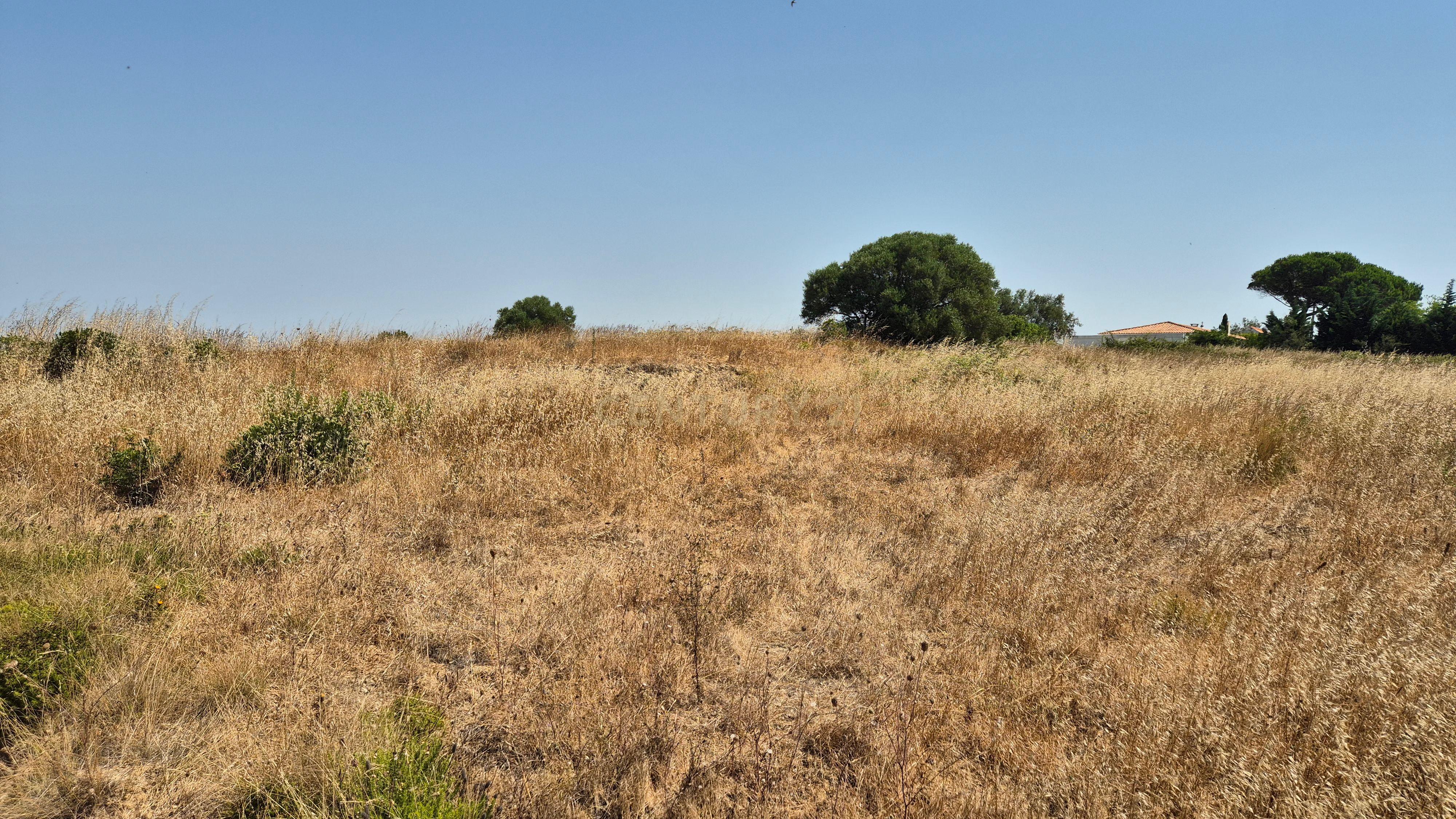 Fotografia 8 de Terreno com Vista Mar e Lisboa na Azoia (15.700 m²) | PIP Aprovado para Moradia + Cave
