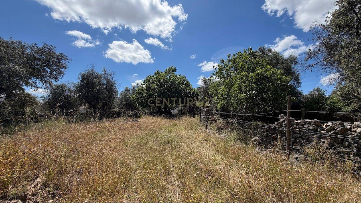 2 Moradias para recuperação - Flor da Rosa - Crato - Alentejo - View 6