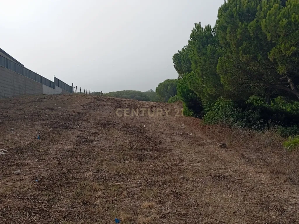 Terreno com área de 10.000m2 com projeto aprovado perto da Aldeia do Meco - Image 15