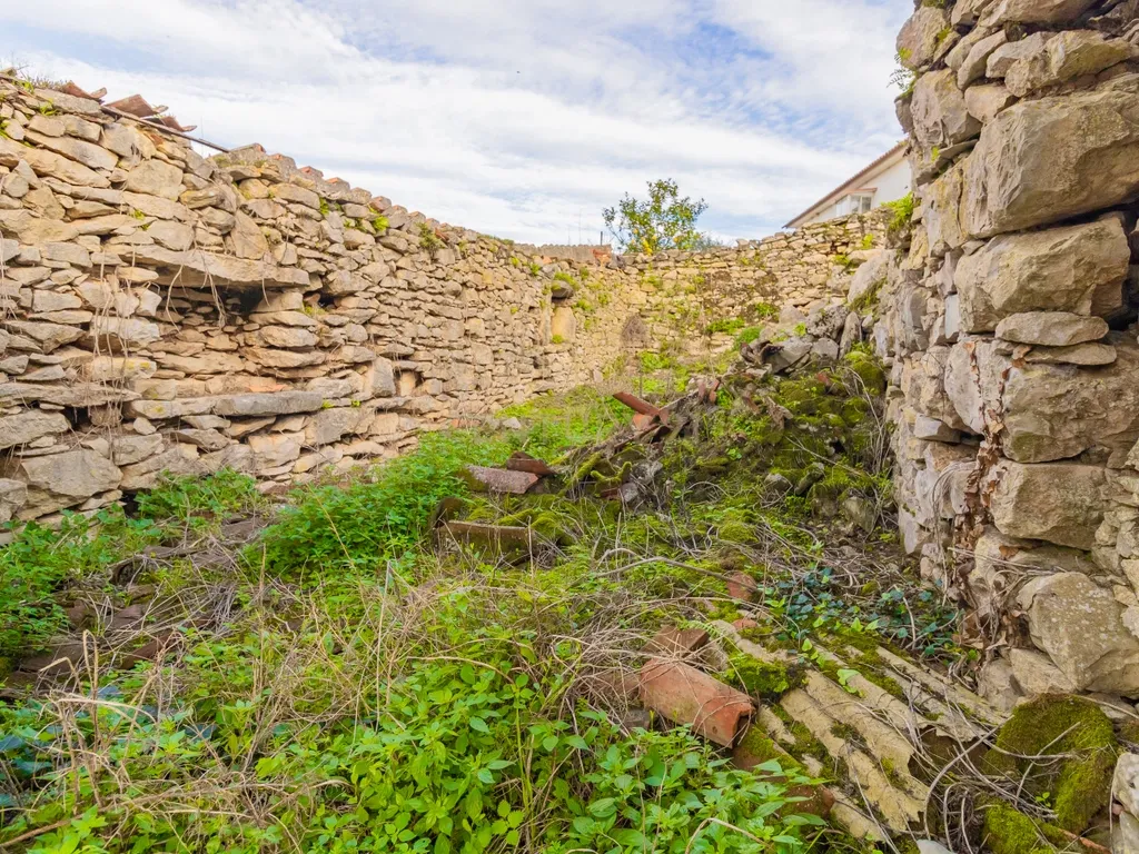 Ruína para Venda no Carvalhal de Ajubarrota - Image 18