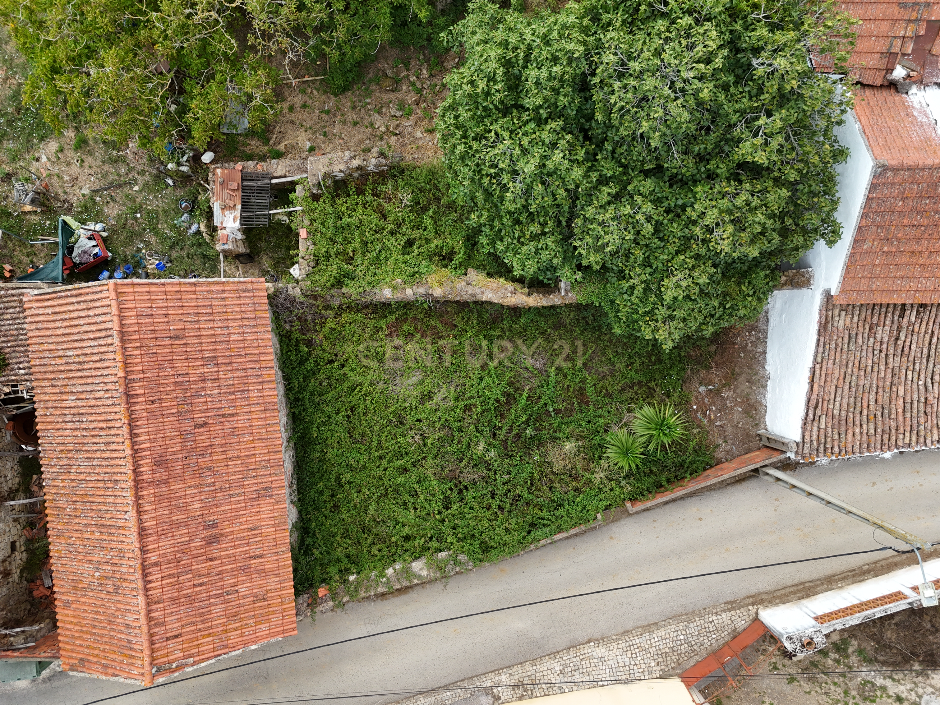 Fotografia 8 de Moradia para Recuperar com Terreno