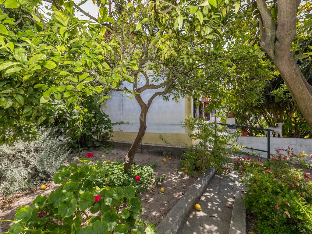 Moradia Isolada - Quinta das Laranjeiras, Fernão Ferro - Image 25
