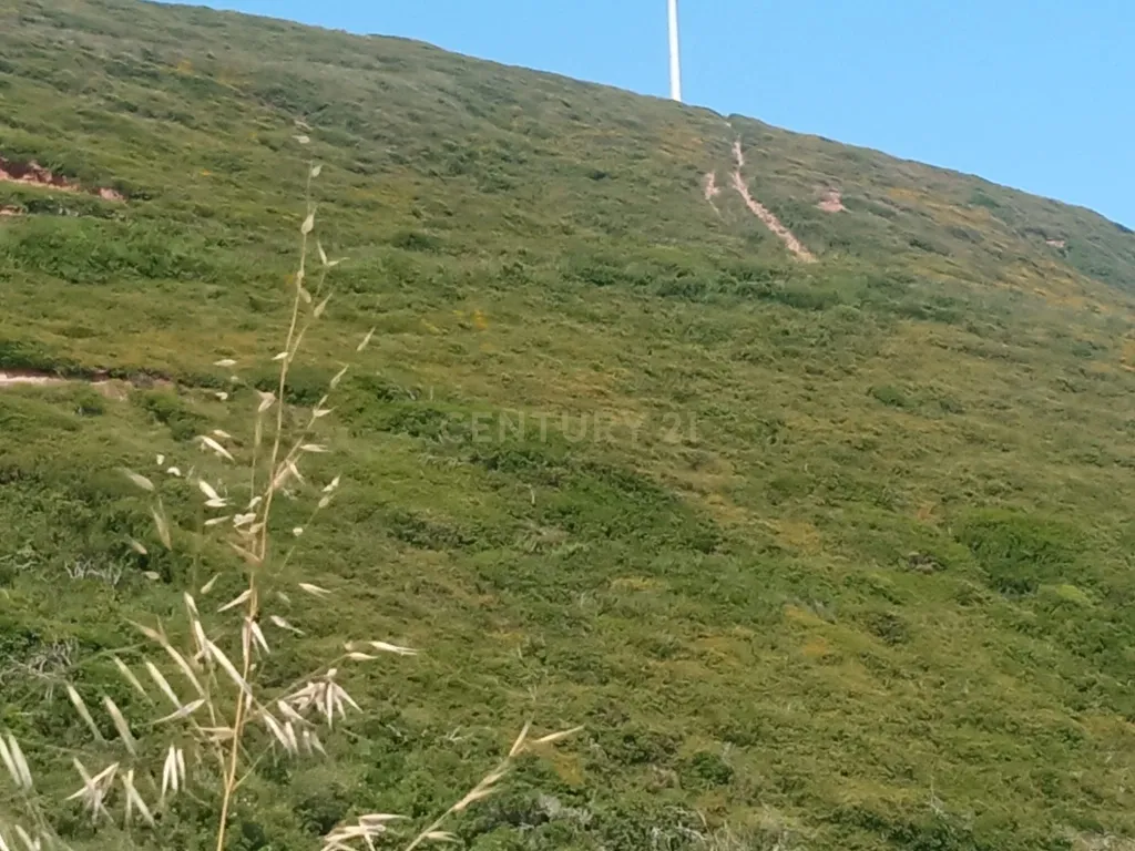 Terreno em Sintra, Perto da Praia de São Julião - Image 2