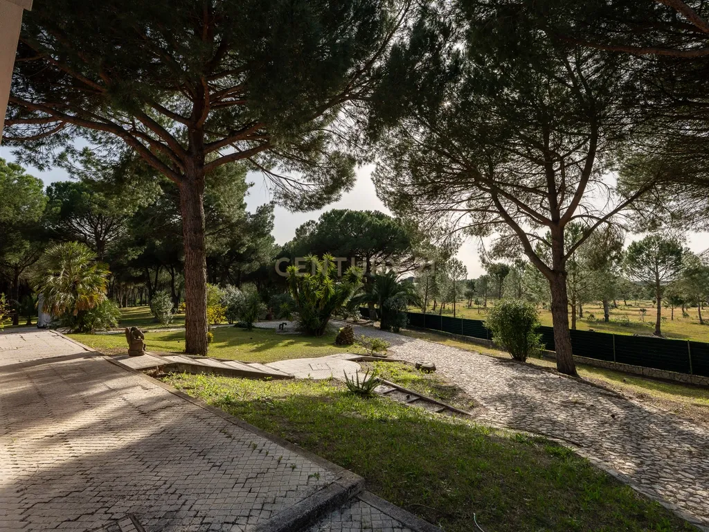 Fabulosa Quinta com lote de terreno de 22.381 m2, onde se encontra inserida uma moradia composta por dois pisos, com uma área bruta de 623 m2, uma área útil de 304 m2 e uma área bruta dependente de 319 m2, localizada em Santo Isidro de Pegões, na zona de Pegões, a pouca distância das belas praias de Setúbal. - Image 117