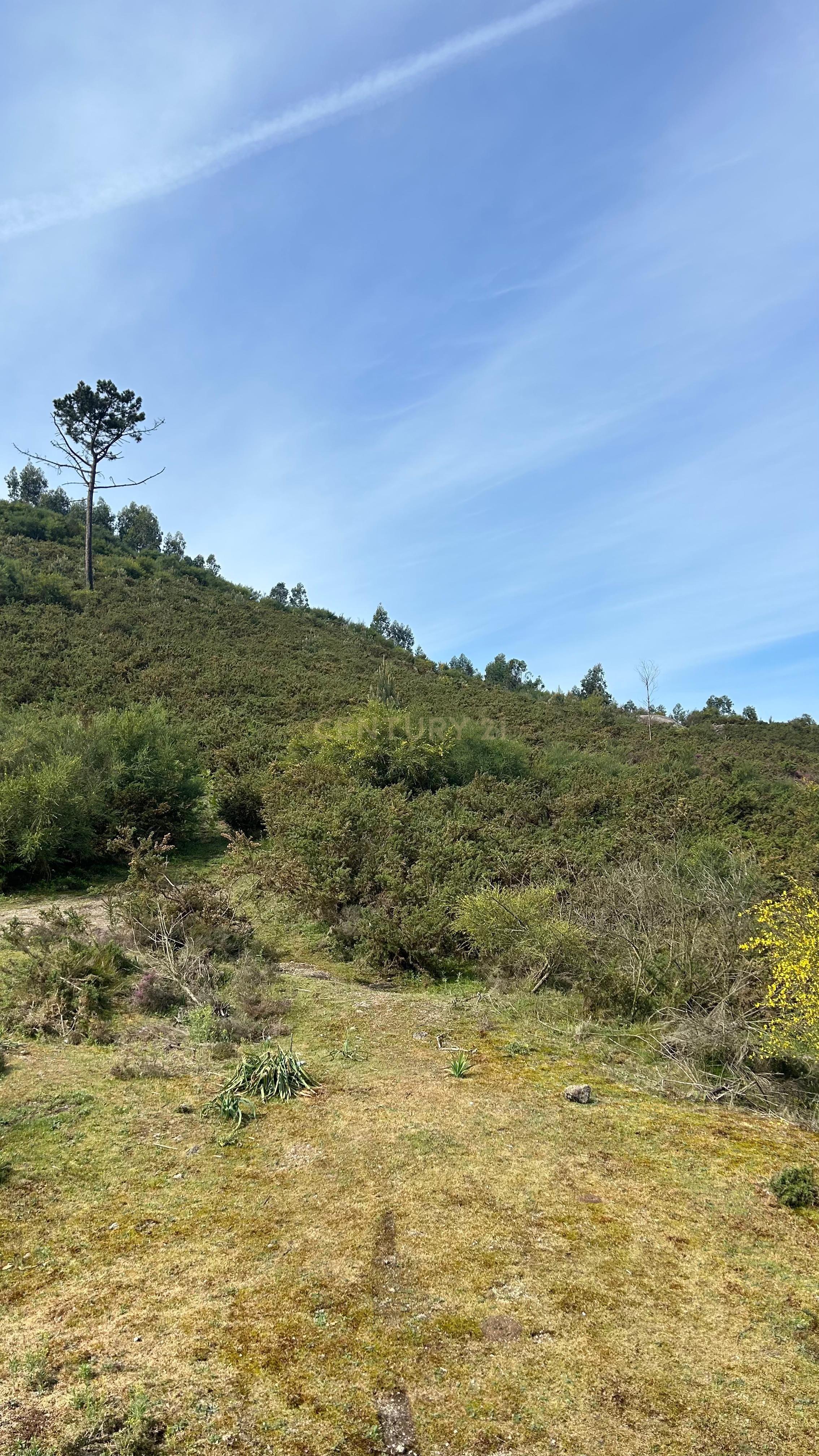 Fotografia 10 de Terreno rústico em Vizela| 5 HA