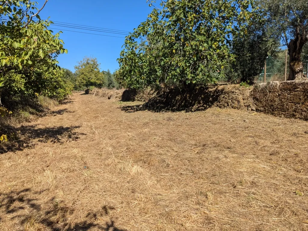Terreno Viabilidade Construção em Espinhal, Penela – Excelente Oportunidade de Investimento - Image 15