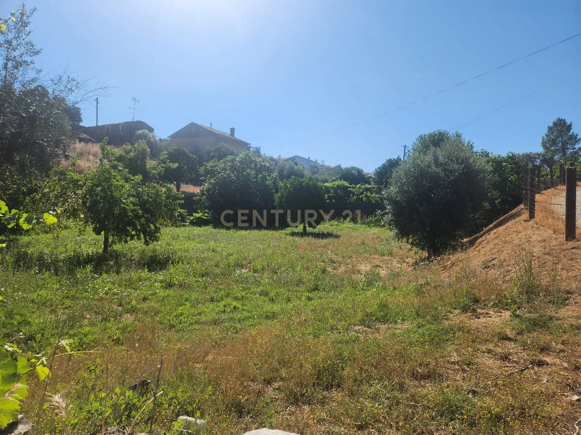 Fotografia 9 de Terreno com agua, luz, saneamento e arvores de fruto em Tostão - Vila Velha de Ródão