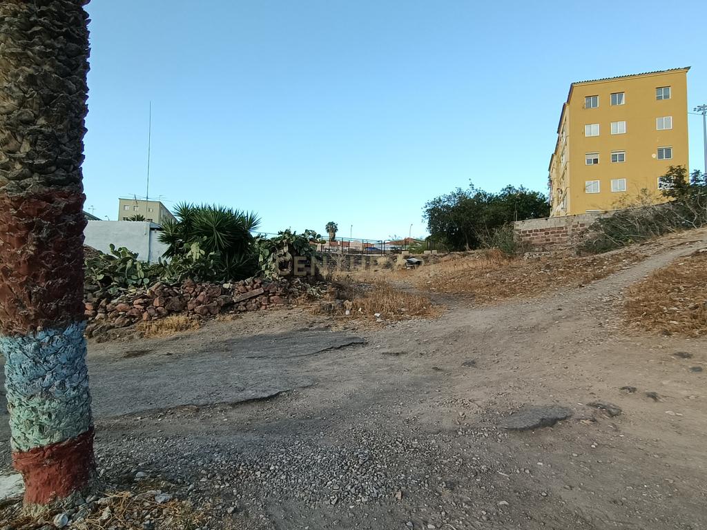  - Image 6