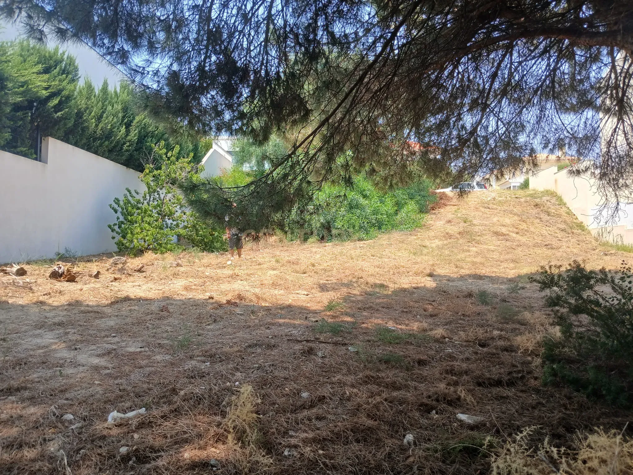 Fotografia 6 de Lote Urbano de 500 m² para Construção no Feijó
