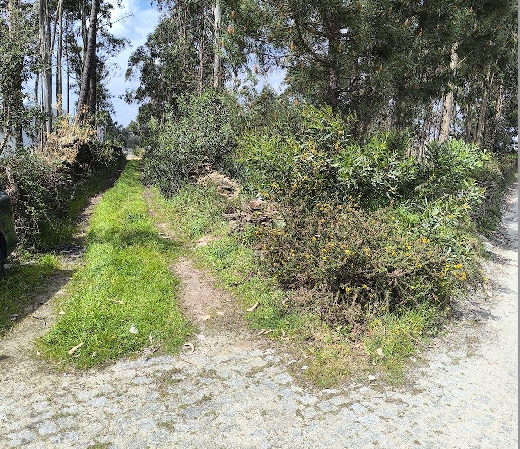 Terreno rústico com 1.750 m², situado em Fão, Esposende - Image 6