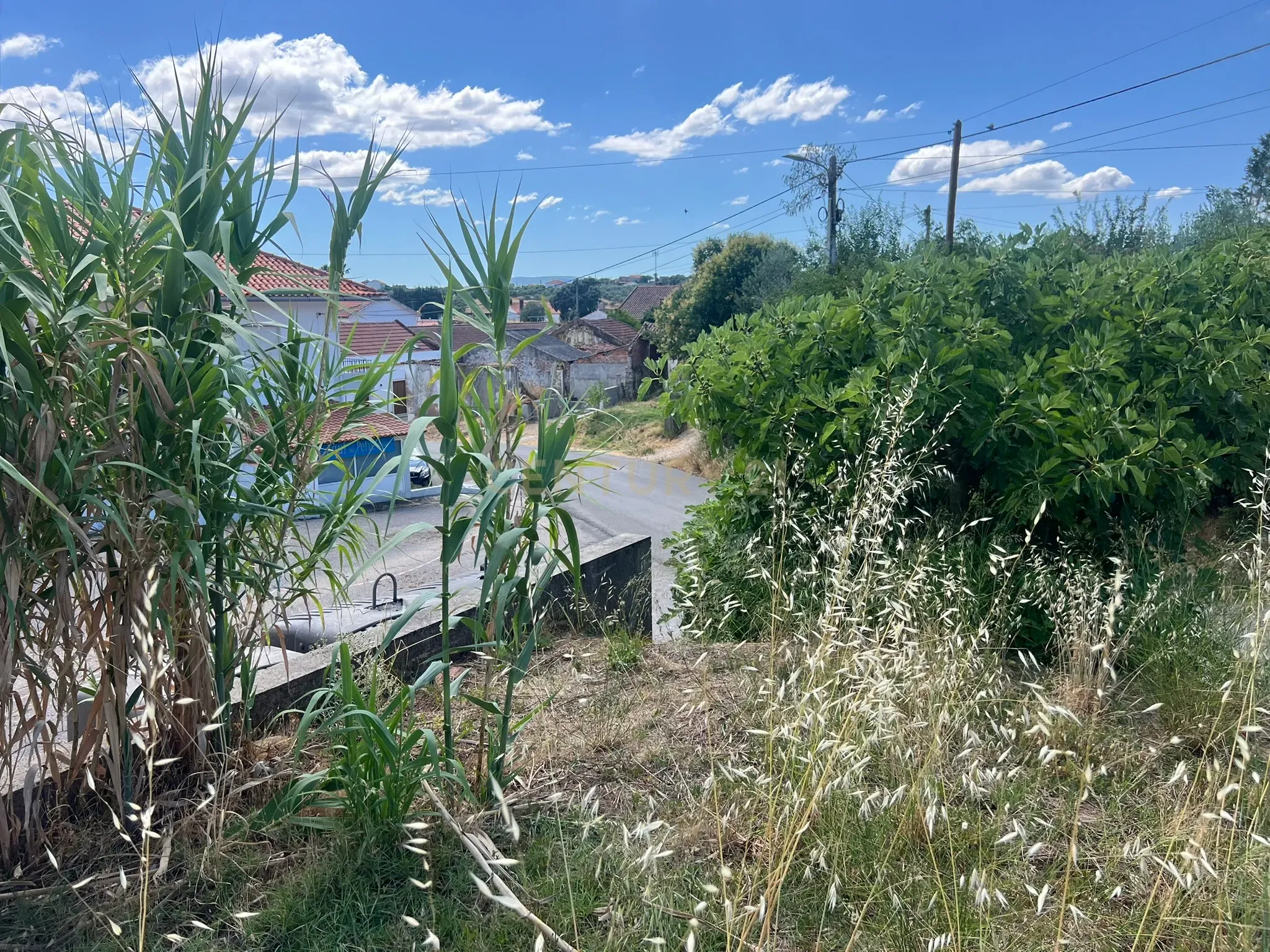 Fotografia 9 de Ruina com terreno em Tomar, União das freguesias de Madalena e Beselga