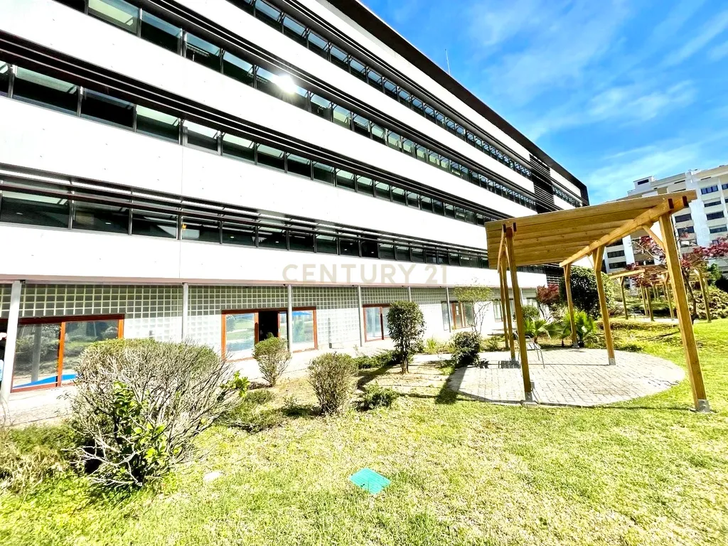 Loja Carnaxide - Image 18