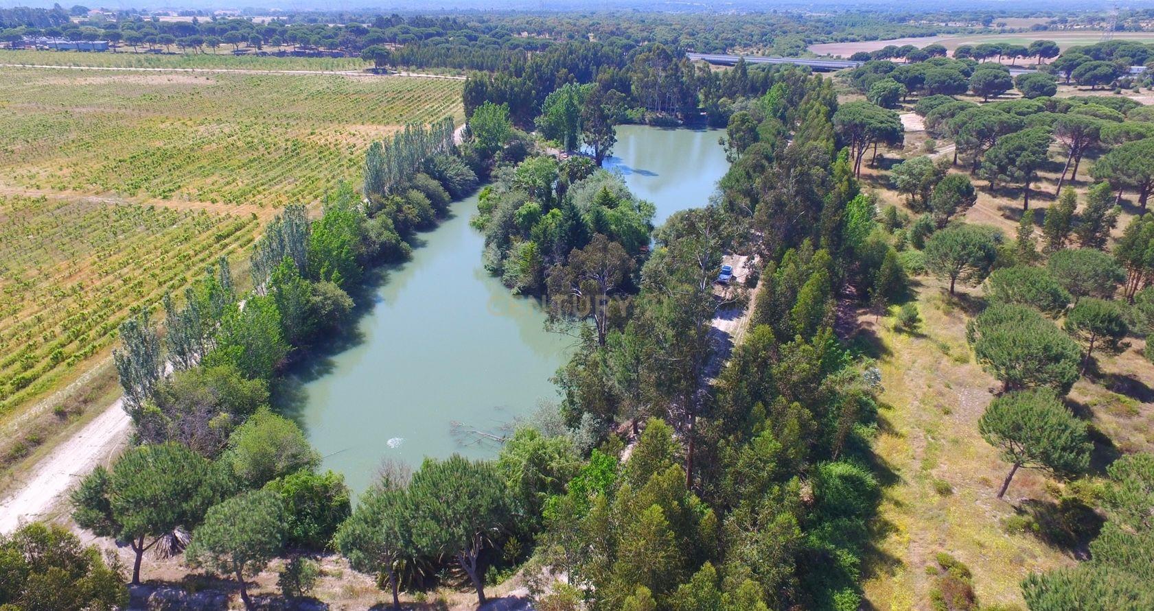 Herdade Dos Mascarenhas com 102 hectares em Palmela - Image 22