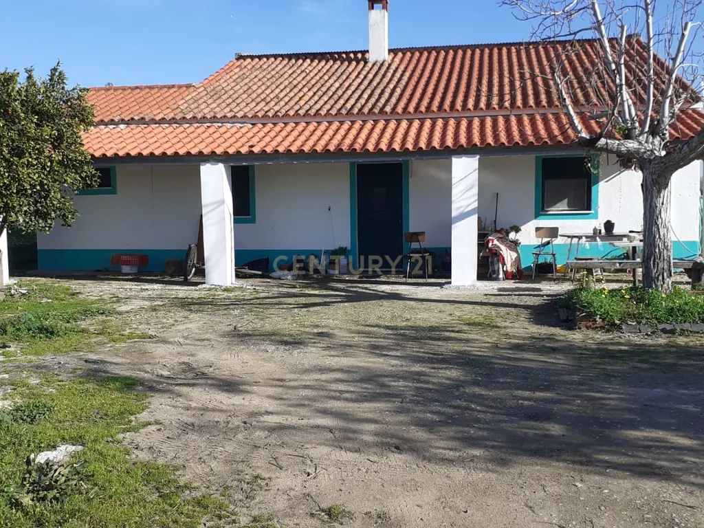 Quinta no Carapetal - Image 38
