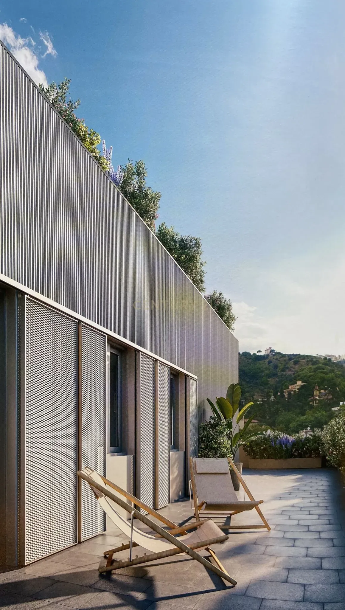 - Image 4