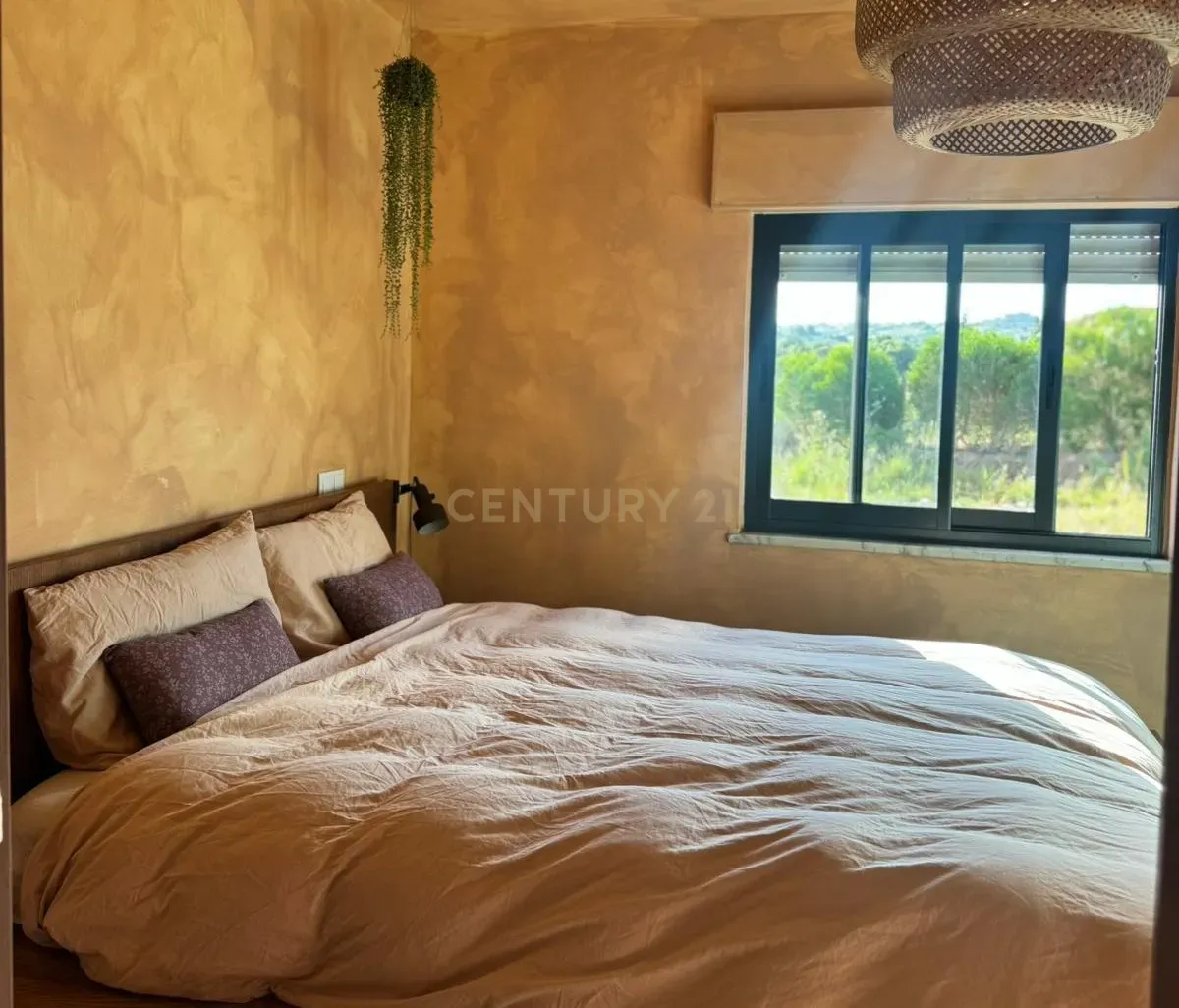 Fotografia 9 de Quinta renovada em terreno de 3 HA perto de praias e serviços, Almádena, Lagos