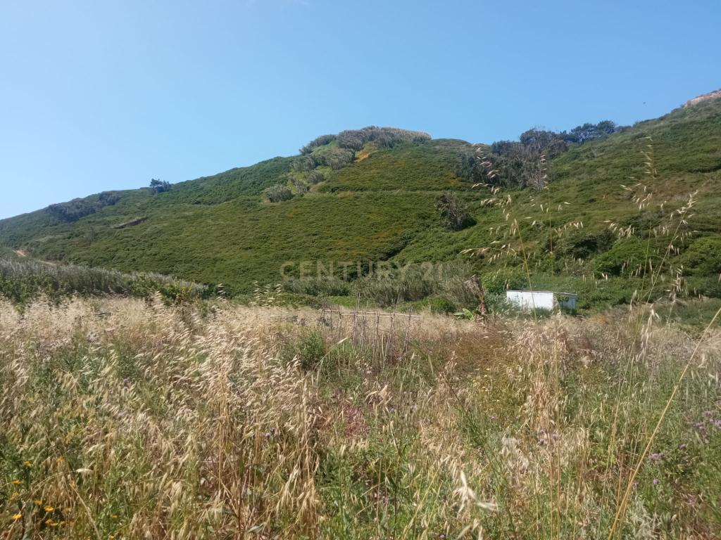 Terreno em Sintra, Perto da Praia de São Julião  - Image 3