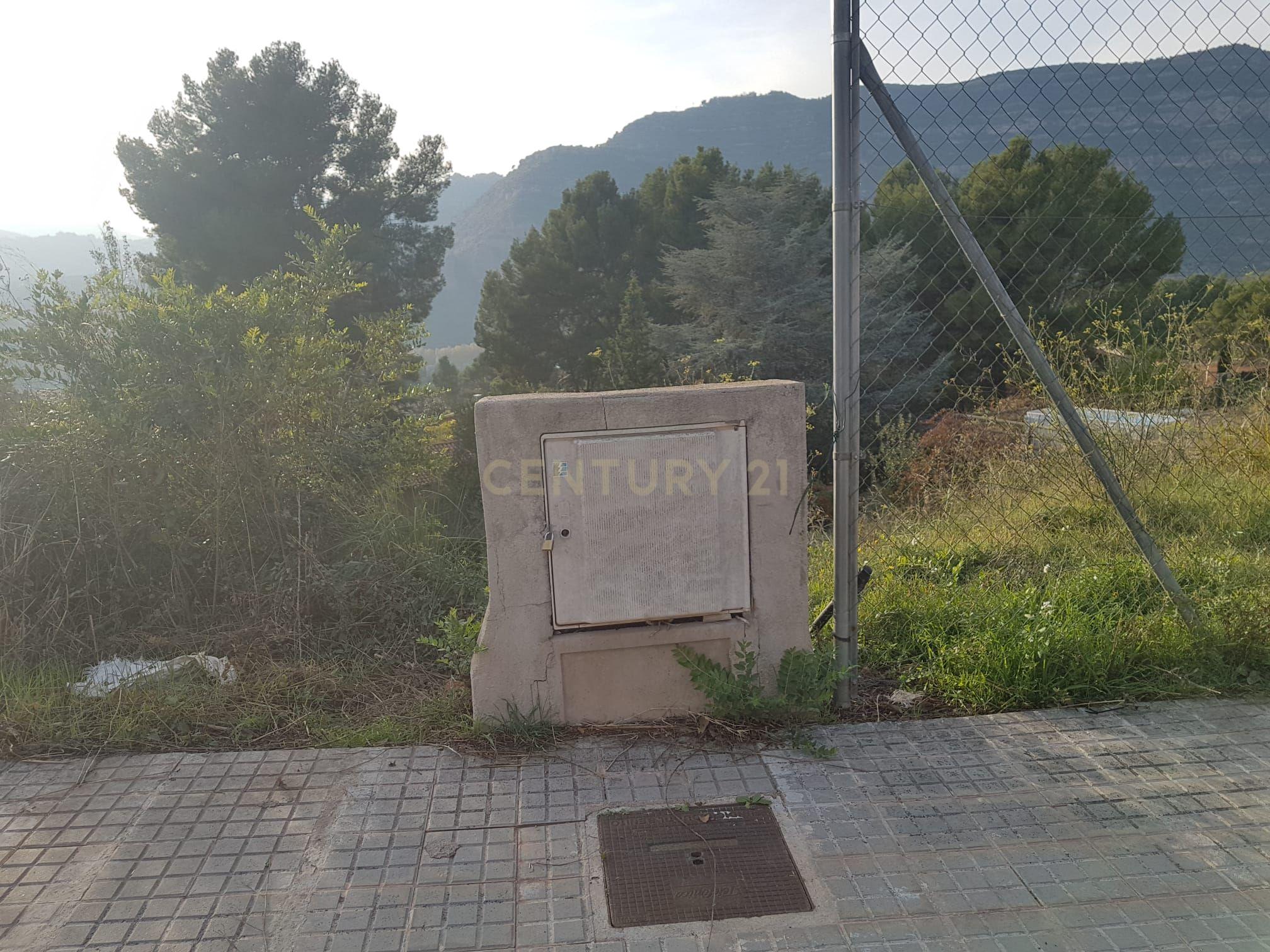 undefined - Image 12