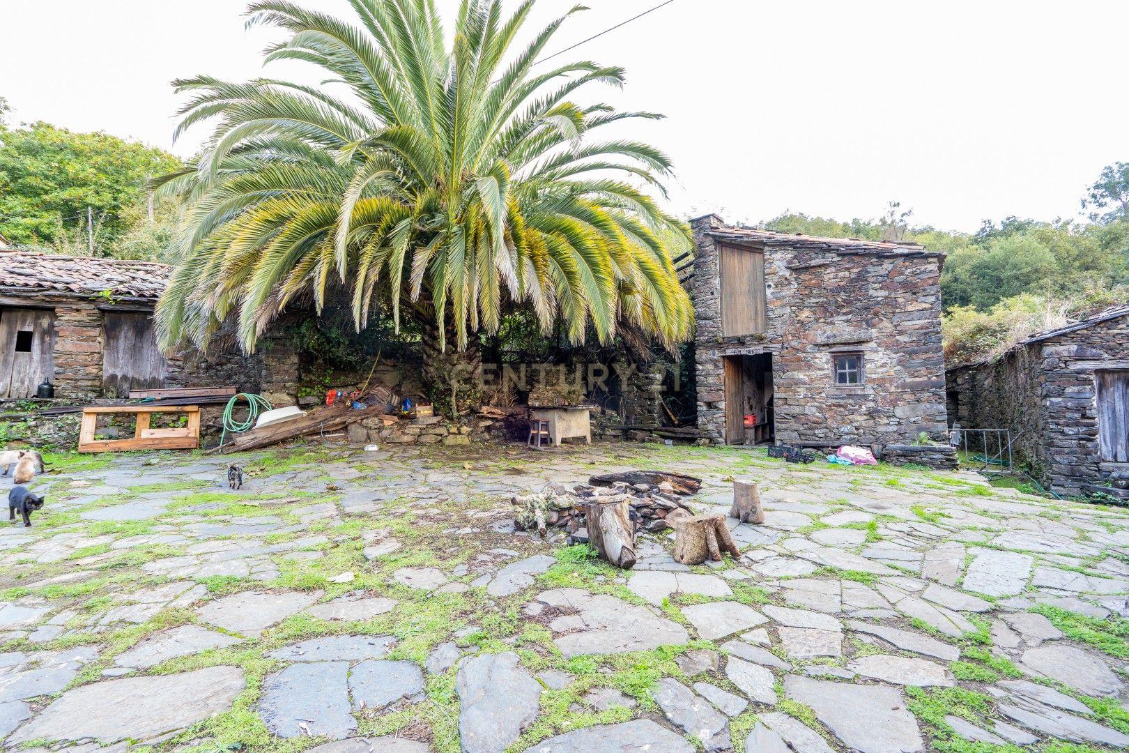 Fotografia 10 de Moradia Rústica em Pedra– 2 Quartos | Piscina | Terreno em  Vaqueirinho, Lousã