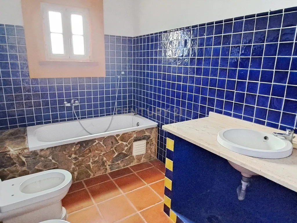 Terreno Rustico 5250m2 com moradia não licenciada Pegões Claros - Image 12