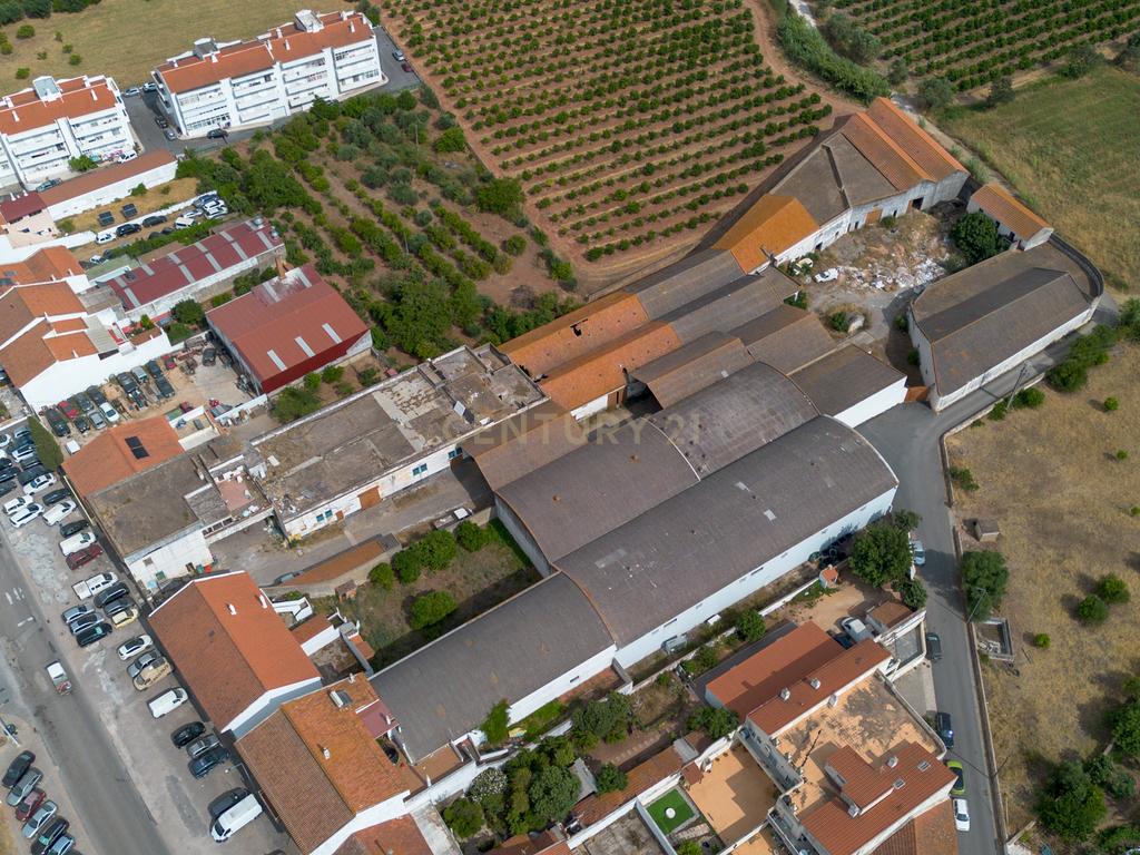 Terreno Urbano com 7.780m2 I Armazéns e Habitação I São Bartolomeu de Messines - Image 11