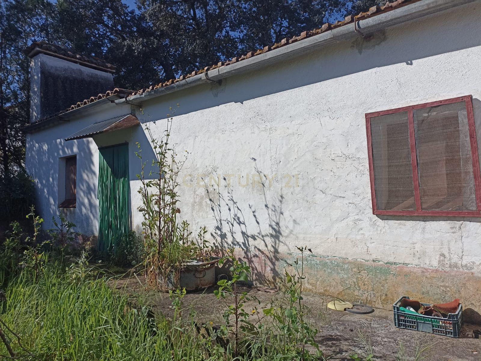 # Terreno Rustico em pleno centro de Montemor -o -Novo - Image 24