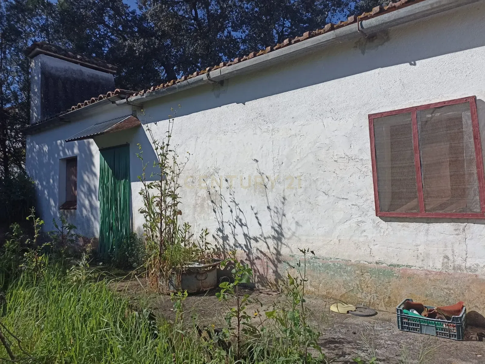 # Terreno Rustico em pleno centro de Montemor -o -Novo - Image 10