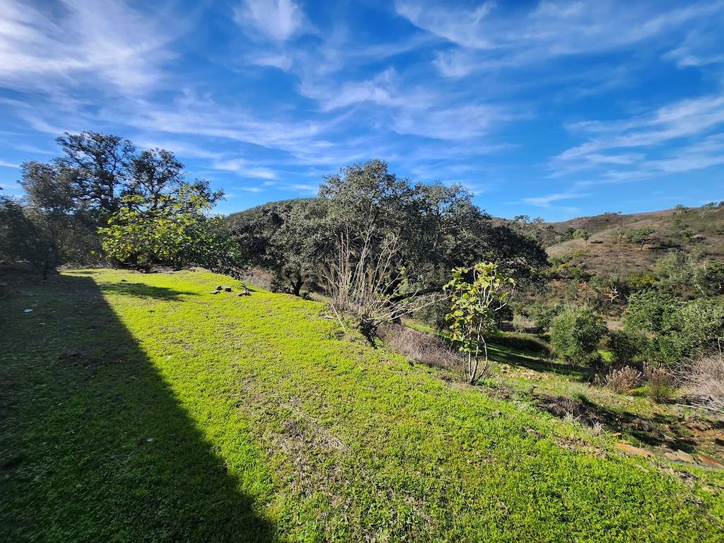 Monte Alentejano, 9 Hectares, e 400 m2 de contrução - Image 13