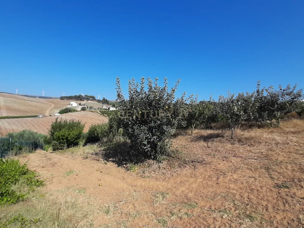 Terreno para construção Condomínio 2 Moradias + anexo comum em Turcifal - Image 8
