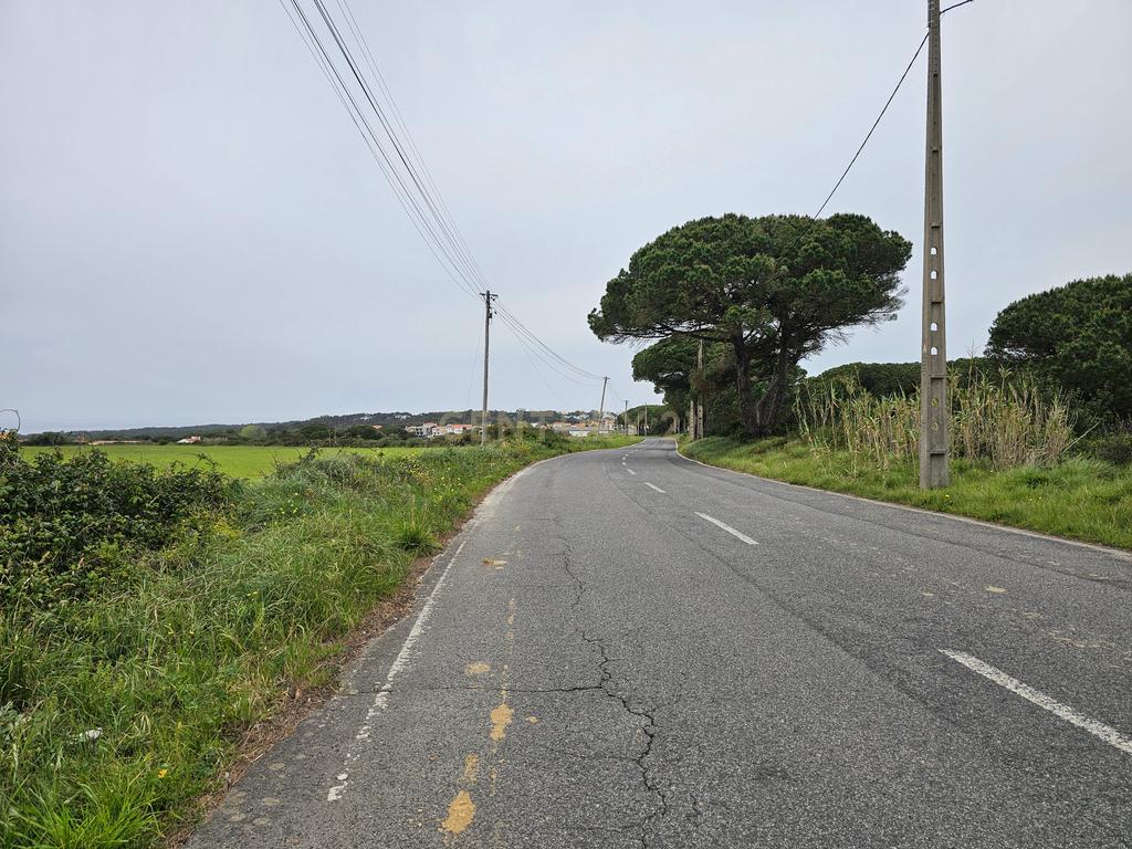 Terreno Rústico | 14160m2 | Sintra | Fontanelas | Av. Nossa Senhora da Esperança - Image 9