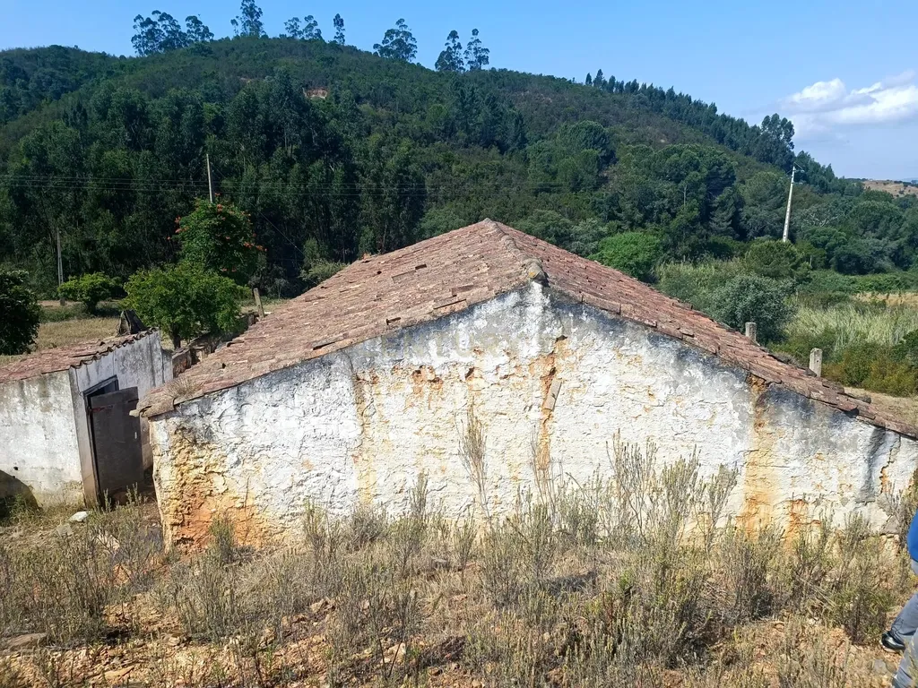 Terreno Misto com 3,66HA - Perna Seca - S. B. Messines - Image 3